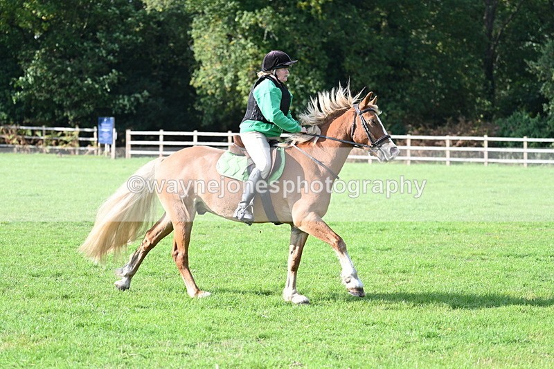 WJ7_3478 - 40cm Time 10:08 to 10:25