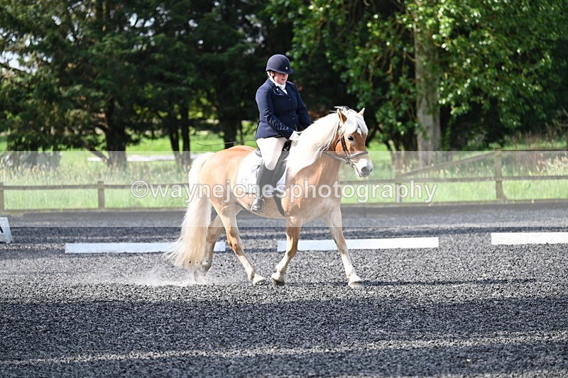 WJ7_7973 - Time 10:11 to 10:27