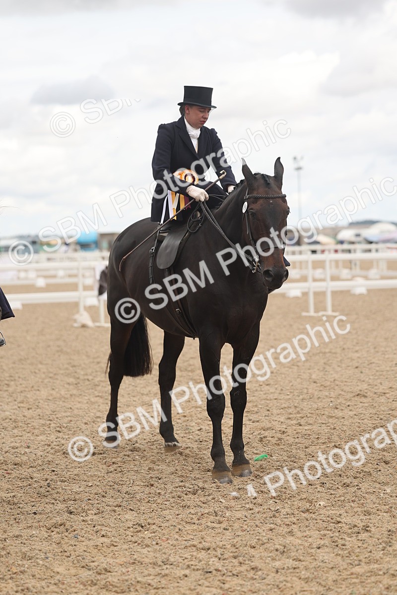 SBM_06391 - Class 22 - SSA - Equitation