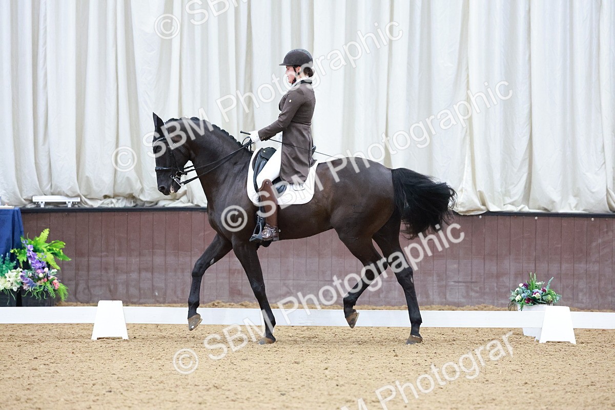 SBM_021303 - Class 14 - FEI Grand Prix - 17.40-18.34