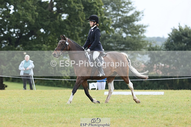 240824X-110346-26833 - D70 Section C and D 9.30 to 11.00