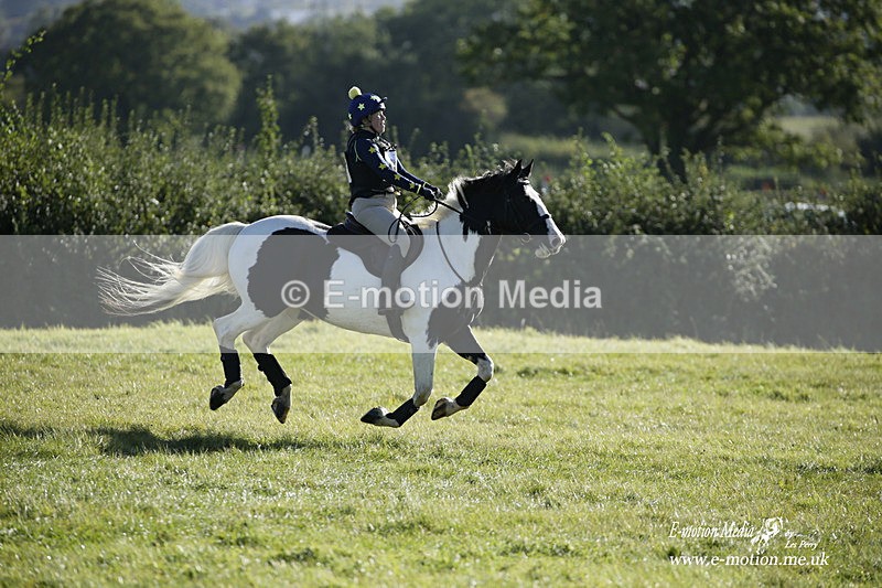  WWHT 031021 687 - WWEC Novice Restricted (0.80m) 18/10/20