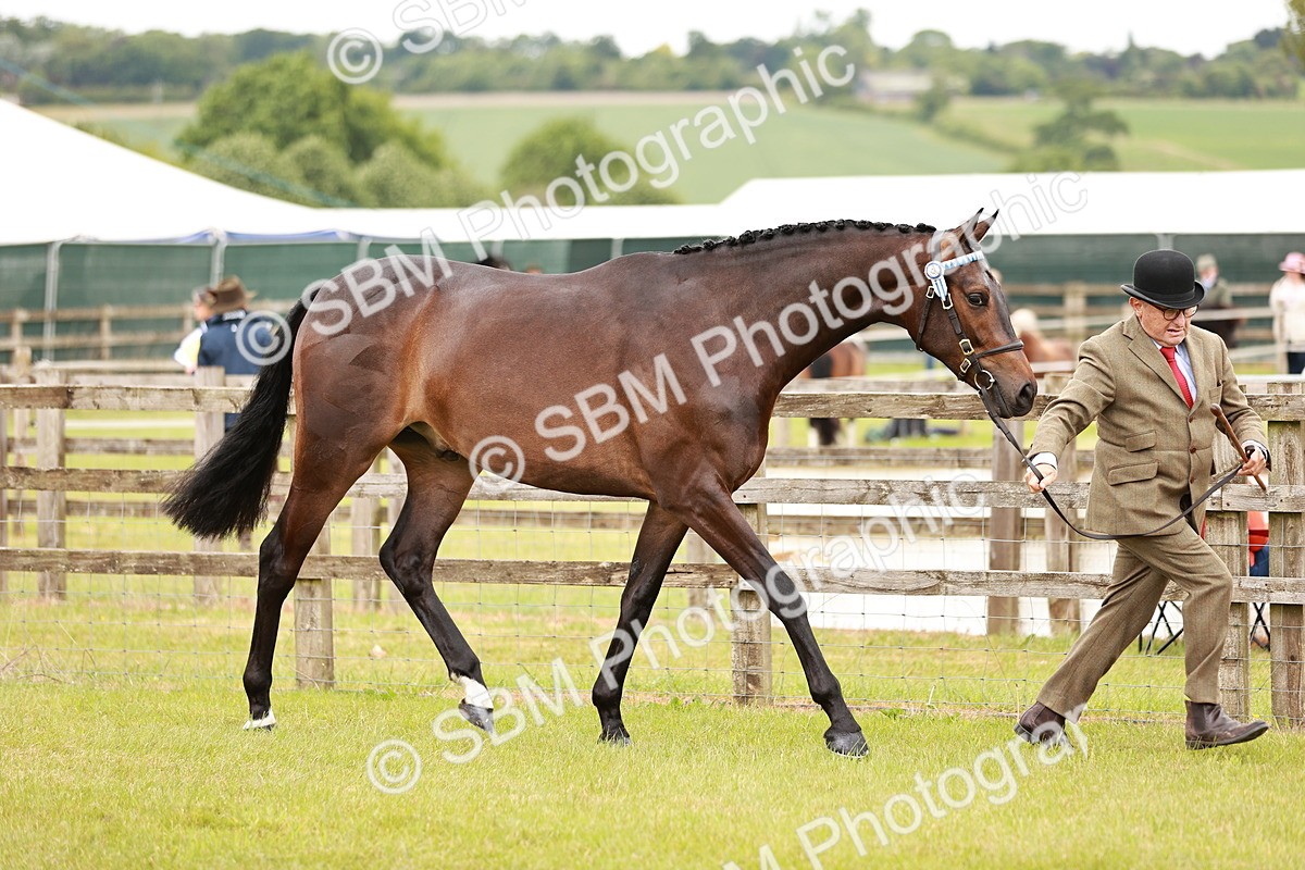 SBM_04773 - Class 35-38 Riding Horse Breeding