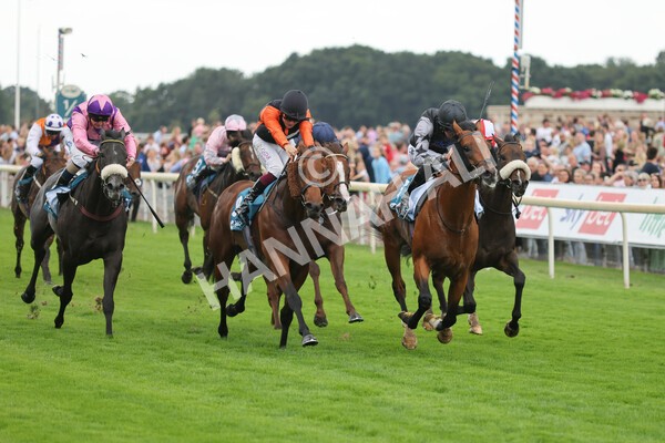 yr04092022r2-23 - Race 2 2.20pm John and Judith Marshall Memorial Stakes