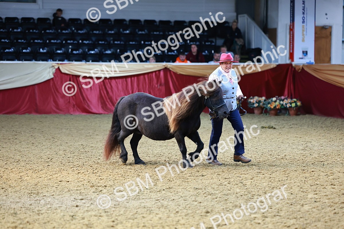 SBM_22345 - Class 902 - Supreme Final - IH Diamond