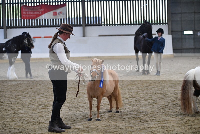 WJ5_5145 - Class 7 In hand coloured / odd coloured