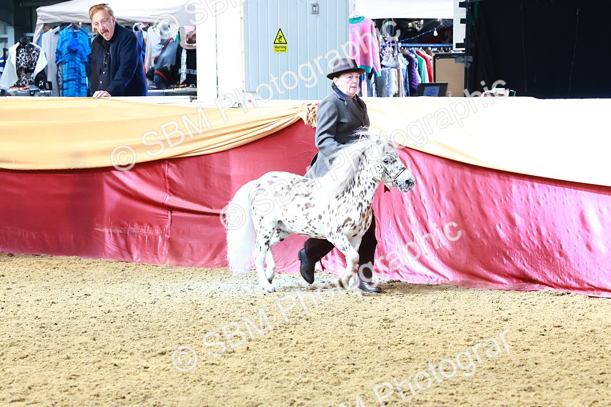 SBM_22454 - Class 902 - Supreme Final - IH Diamond