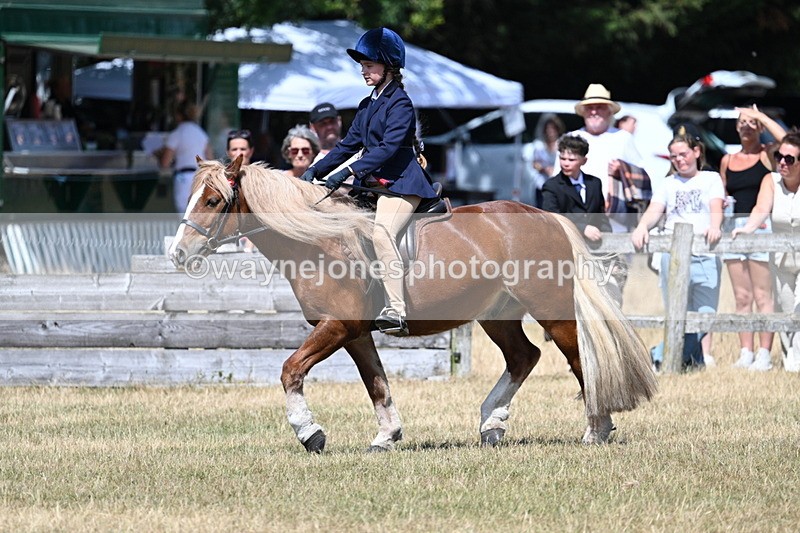WJ7_3391 - Class 8 Ridden Veterans