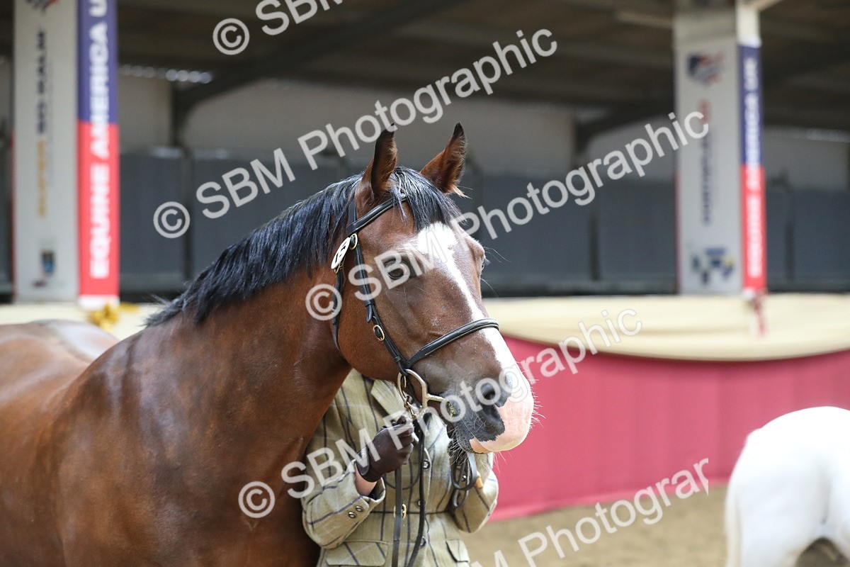 SBM_15311 - Class 501 M&M IH Supreme Final