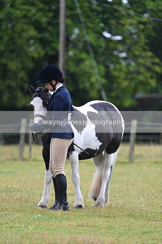 WJ7_5779 - Class 4 Prettiest Mare in Hand