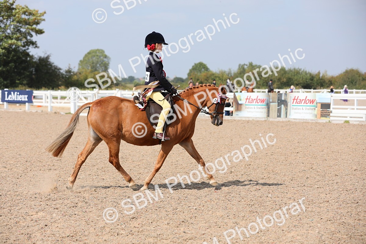 SBM_14785 - Class 310 First Ridden Pony