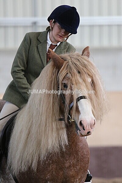 SIAL2020 - Indoor Classes