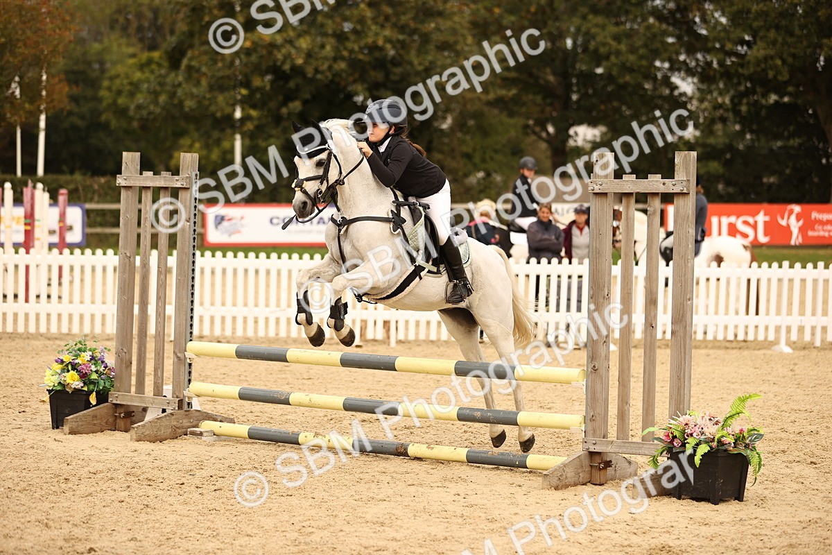 SBM_74403 - J14 - Junior Pony 65cm Championship
