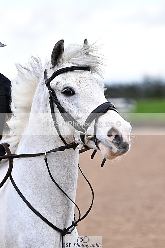 260208-133649-01401 - Cls 19+20 Club and Schools 60cm