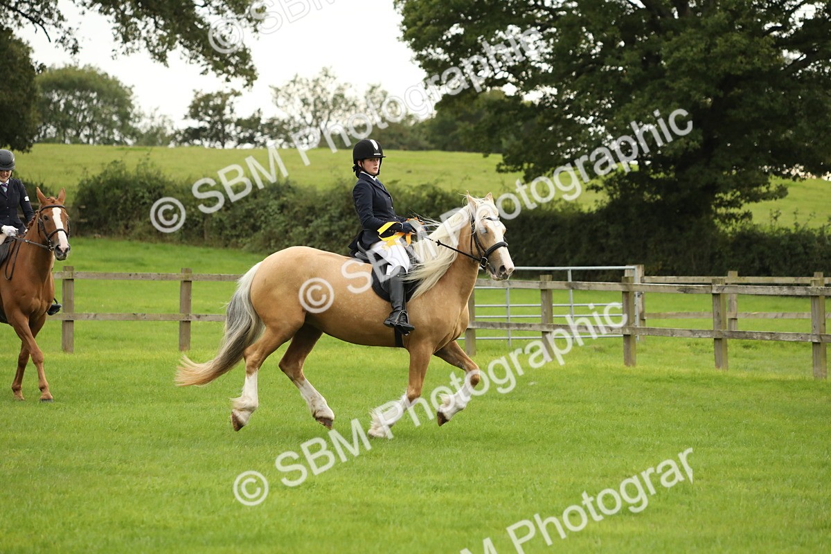 SBM_73899 - S41 - Ridden Equitation (Best Rider)