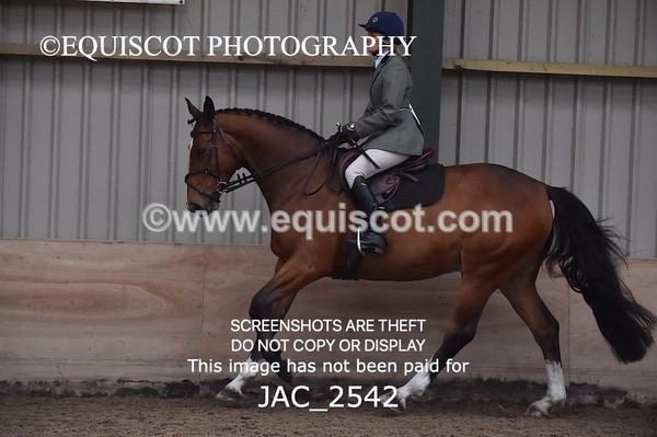 JAC_2542 - CLASS 3 Intermediate Working Hunter