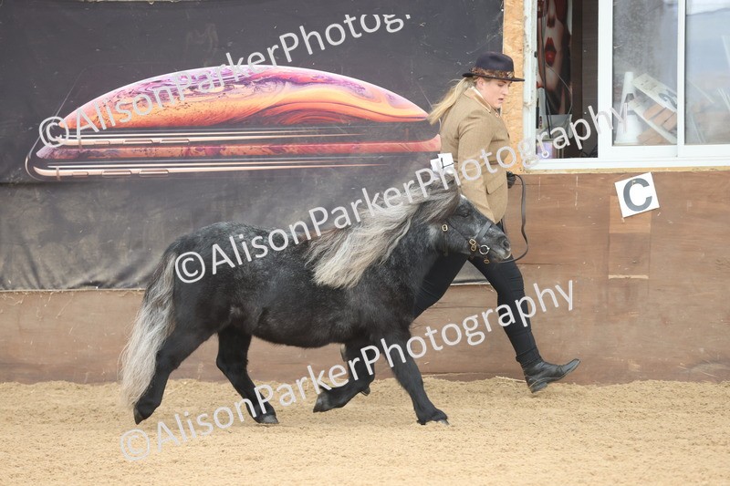 20251109-0025 - Class 3 - 2 and 3 Year Old