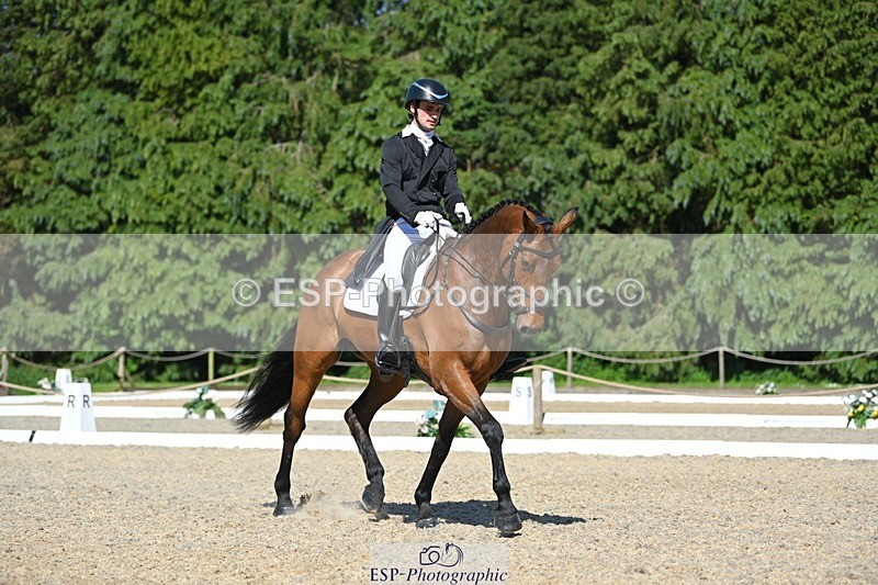 230526-161621-07316 - 255-HI_MR_HENRY-Henry_Hobby-WEDTrotUp+DR