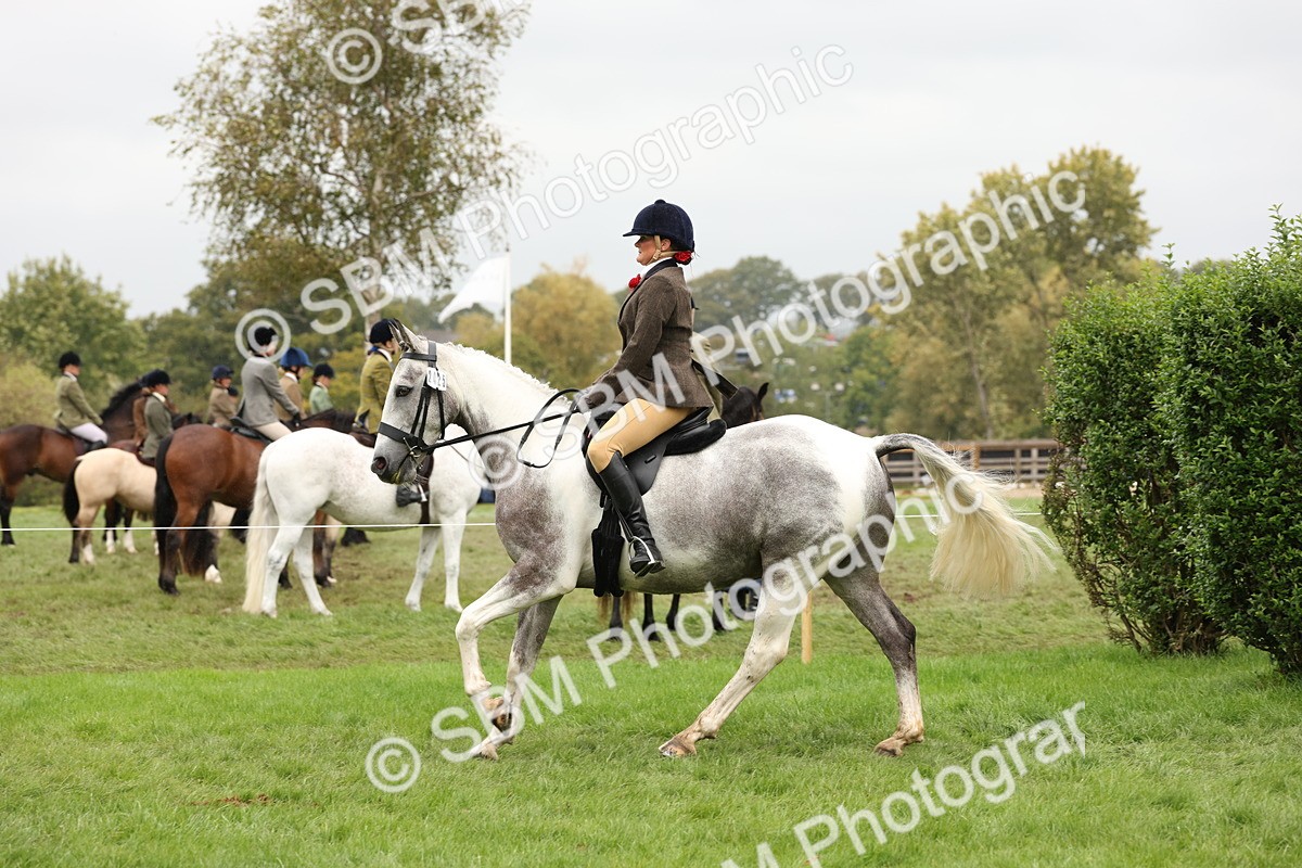 SBM_69892 - S68 - Other Coloured Horse Ridden