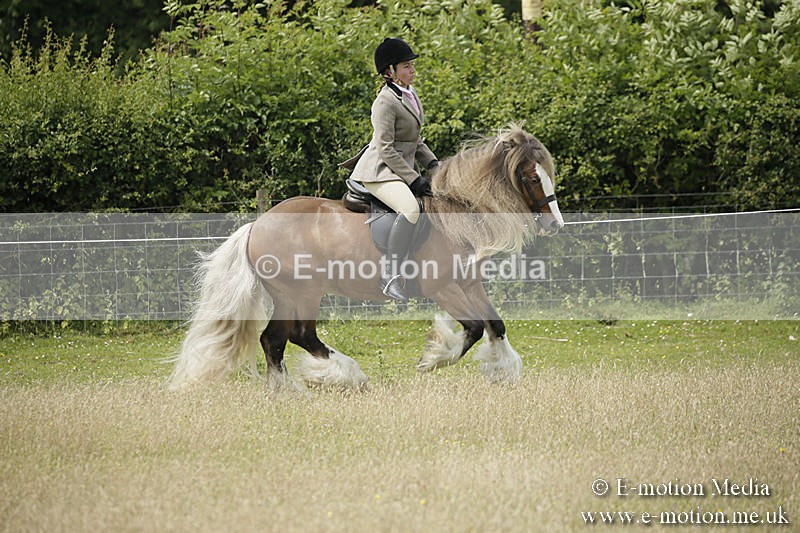B230619-0432 - Bourne Valley Riding Club Summer Show 23/06/19