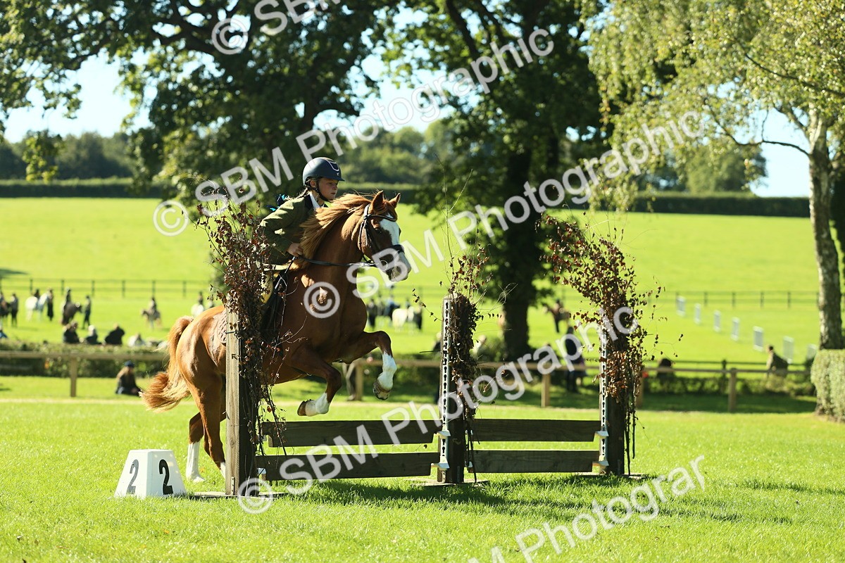 SBM_37438 - S29 - Novice & Newcomers Working Hunter Pony