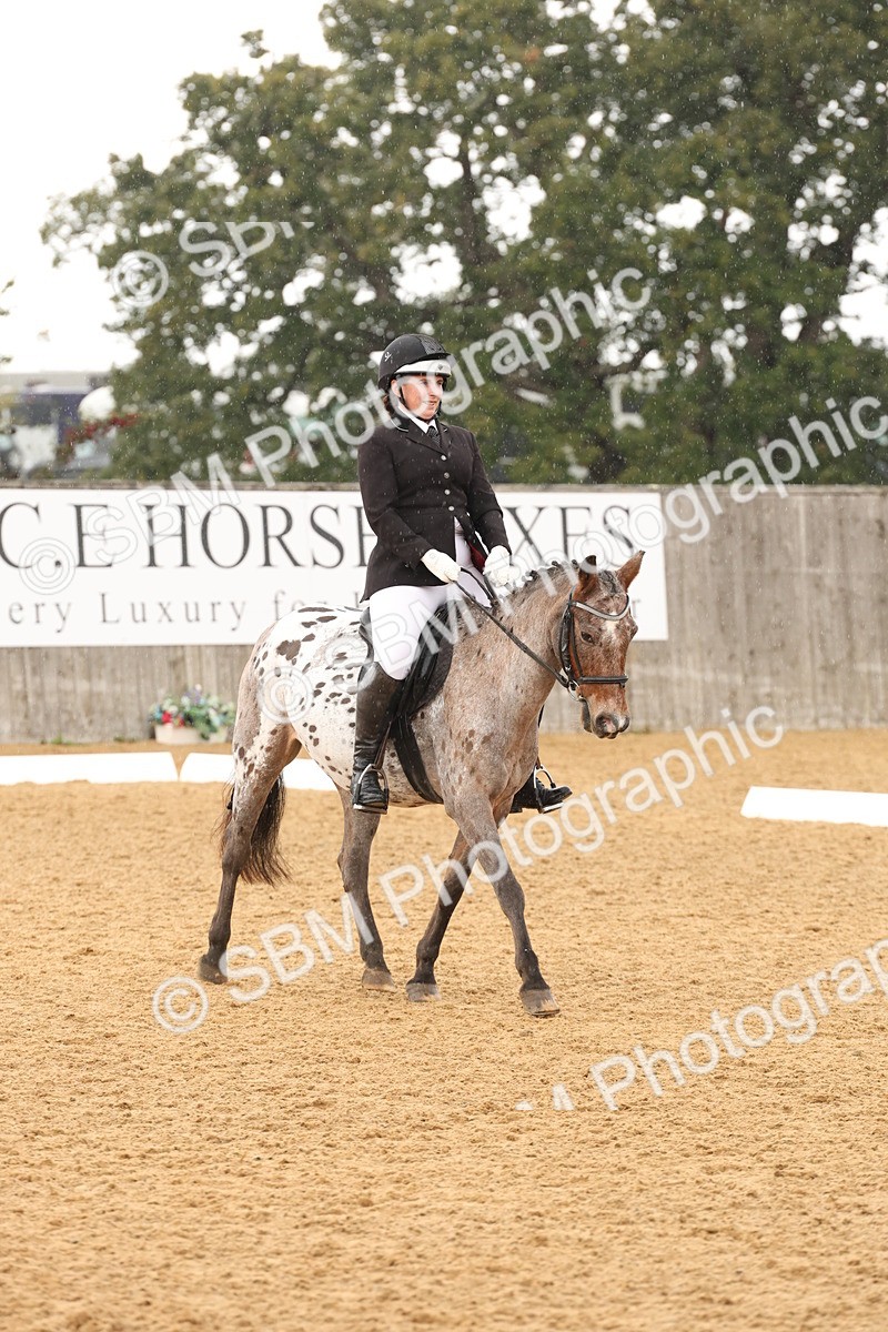 SBM_44120 - D6 - Small Tour Championship Intro 4
