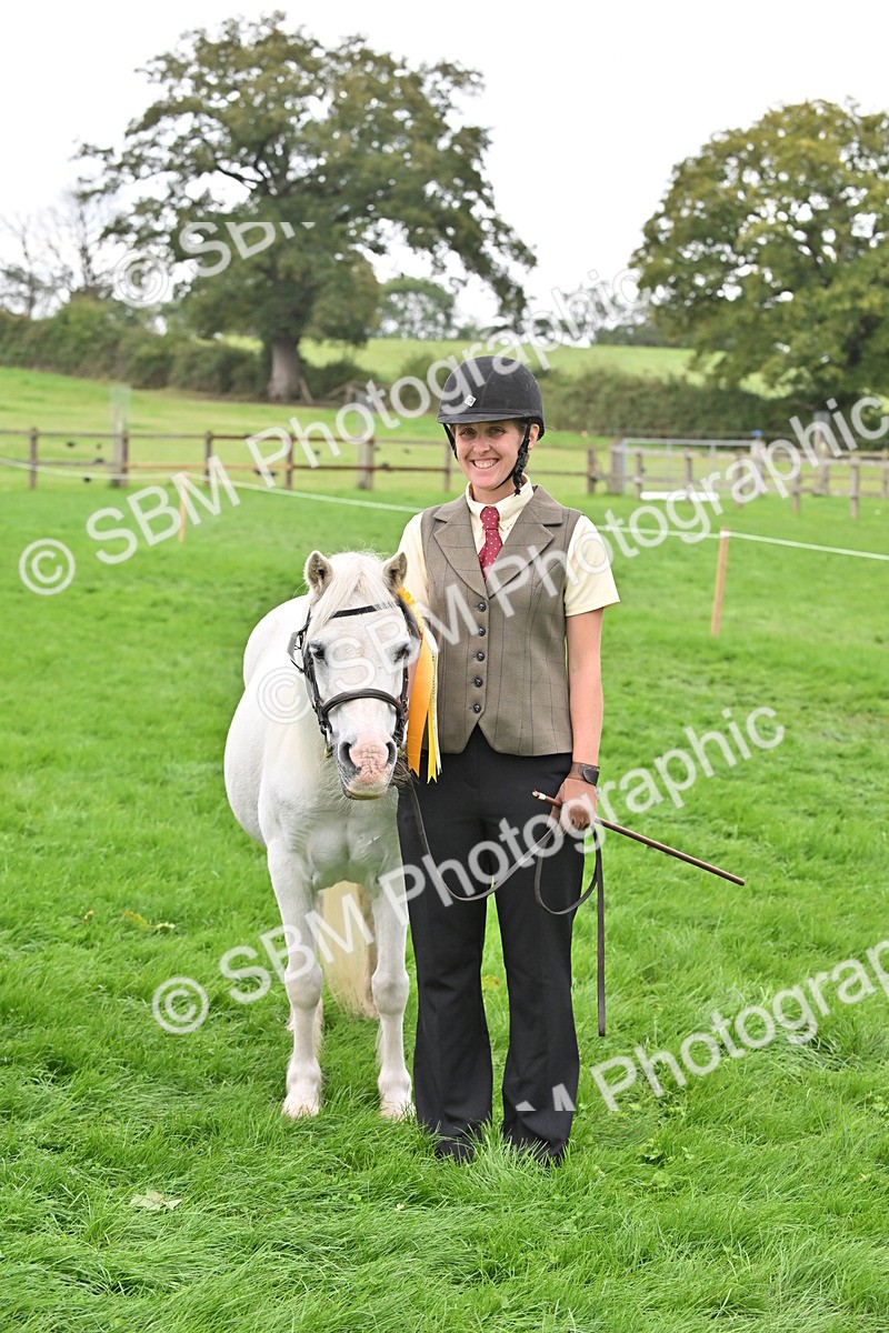 SBM_61098 - S48 - Mountain & Moorland In Hand Small Breeds