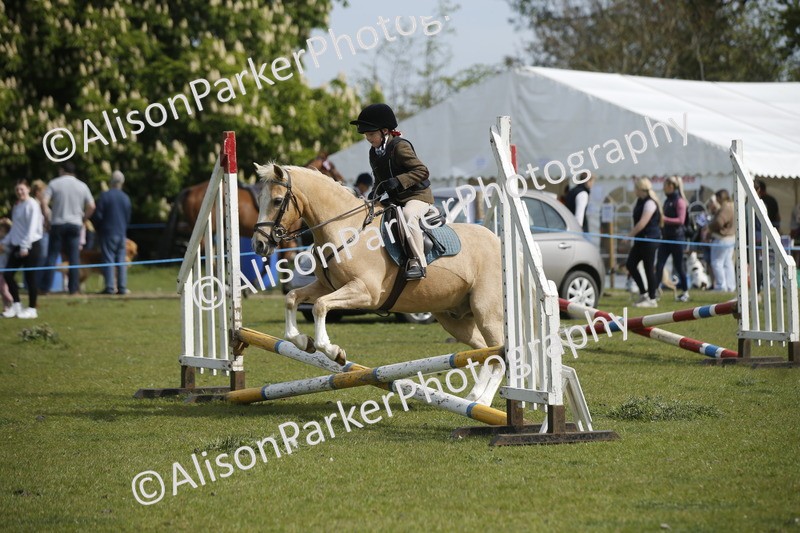 20260426-1208 - Class 2 - Mini Jumping