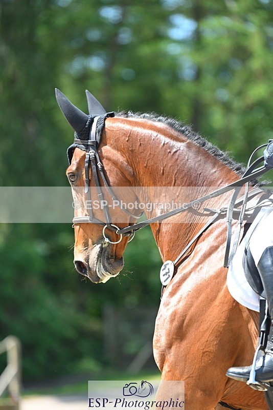 230526-115445-05878 - 471-MASTER_SMART-Tara_Dixon-DR