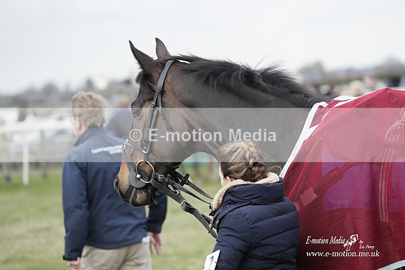 PtP 190323 510 - Oakley Hunt Point-to-Point Brafield-On-The-Green 19/03/23