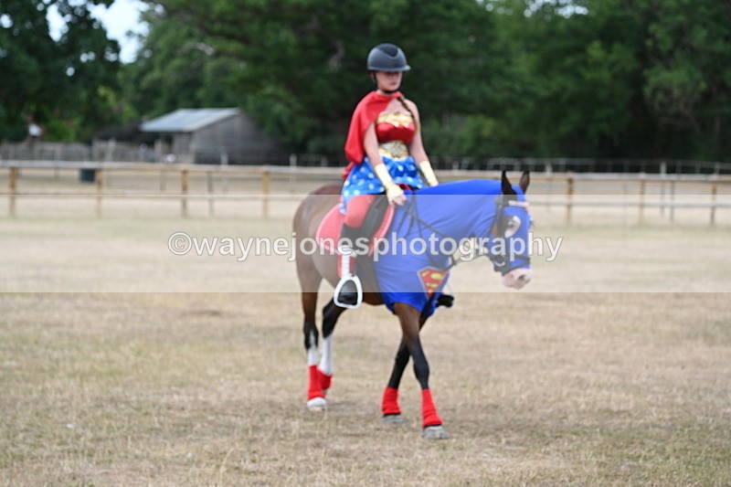 WJ6_8670 - Class 11 Fancy Dress