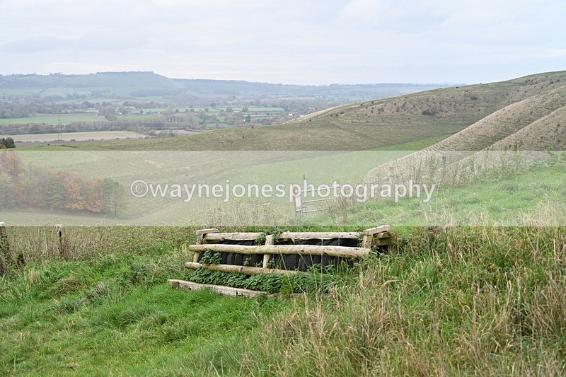 WJ7_9718 - Camera 1 & Last fence