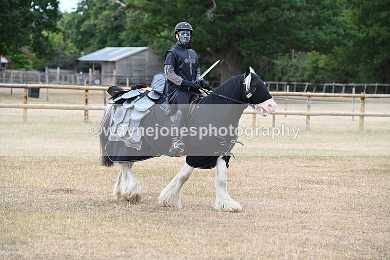 WJ6_8863 - Class 11 Fancy Dress