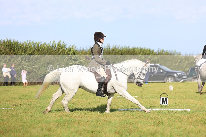 3E7A5816 - Class 1: Trebudannon Open: Dressage (Part 2)