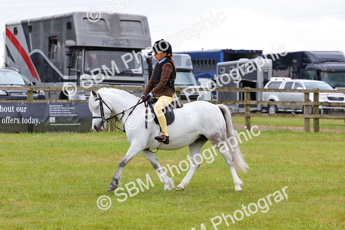 SBM_08697 - Class 42-43 - LIHS BSPS Heritage Working Sports Pony