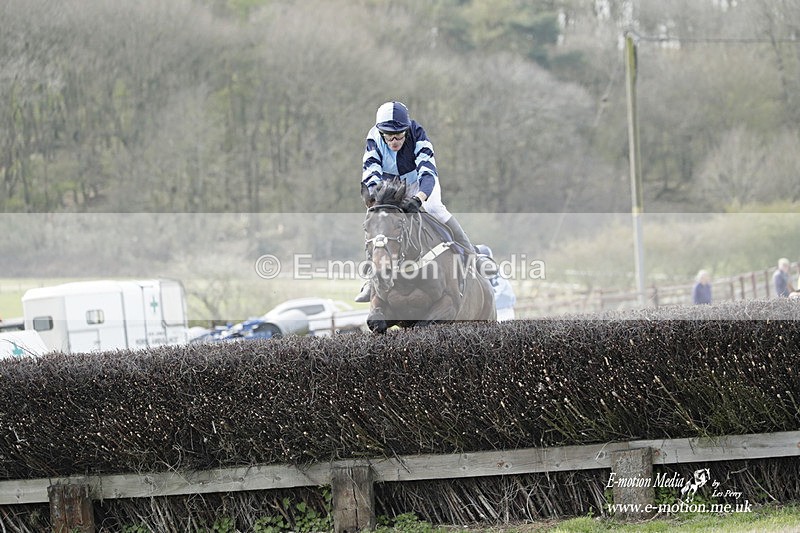 PtP 080423 257 - Dingley Races The Woodland Pytchley Hunt PtP 08/04/23