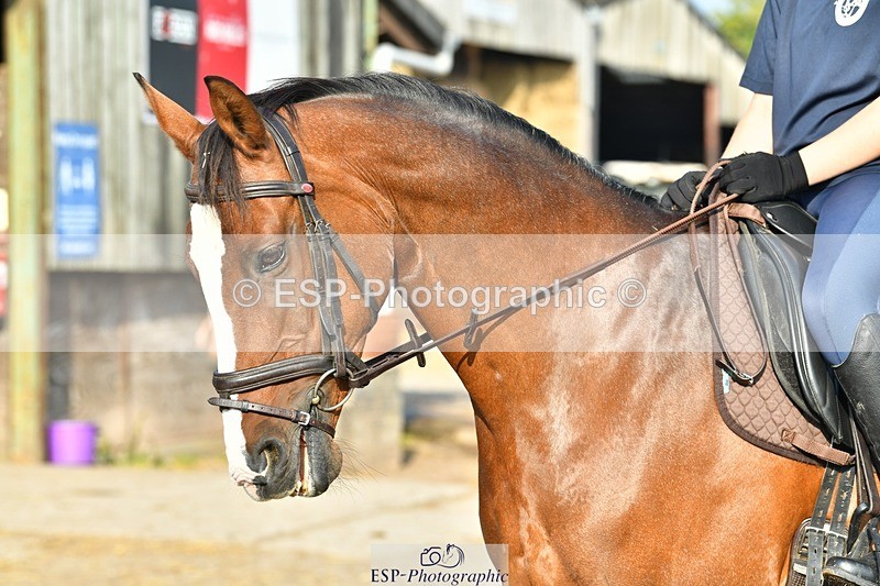 230817-083334-02413 - Stable Shots