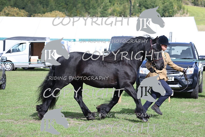 APP_2807 - Class 10a/b M&M in hand