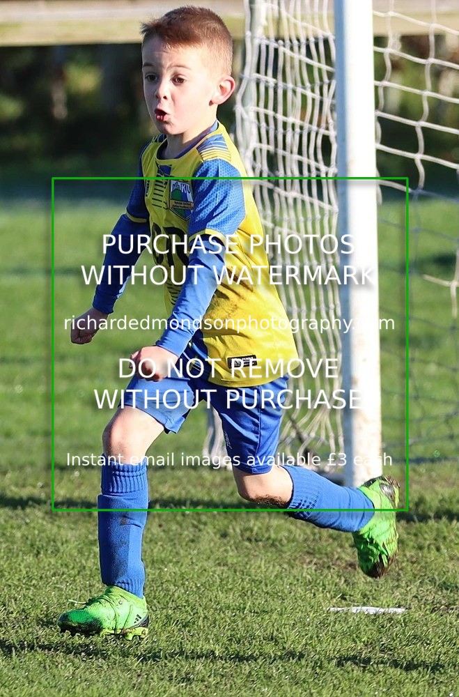 IMG_3900 - Kendal Utd Colts U7 vs Ambleside U7's (11/11/23)