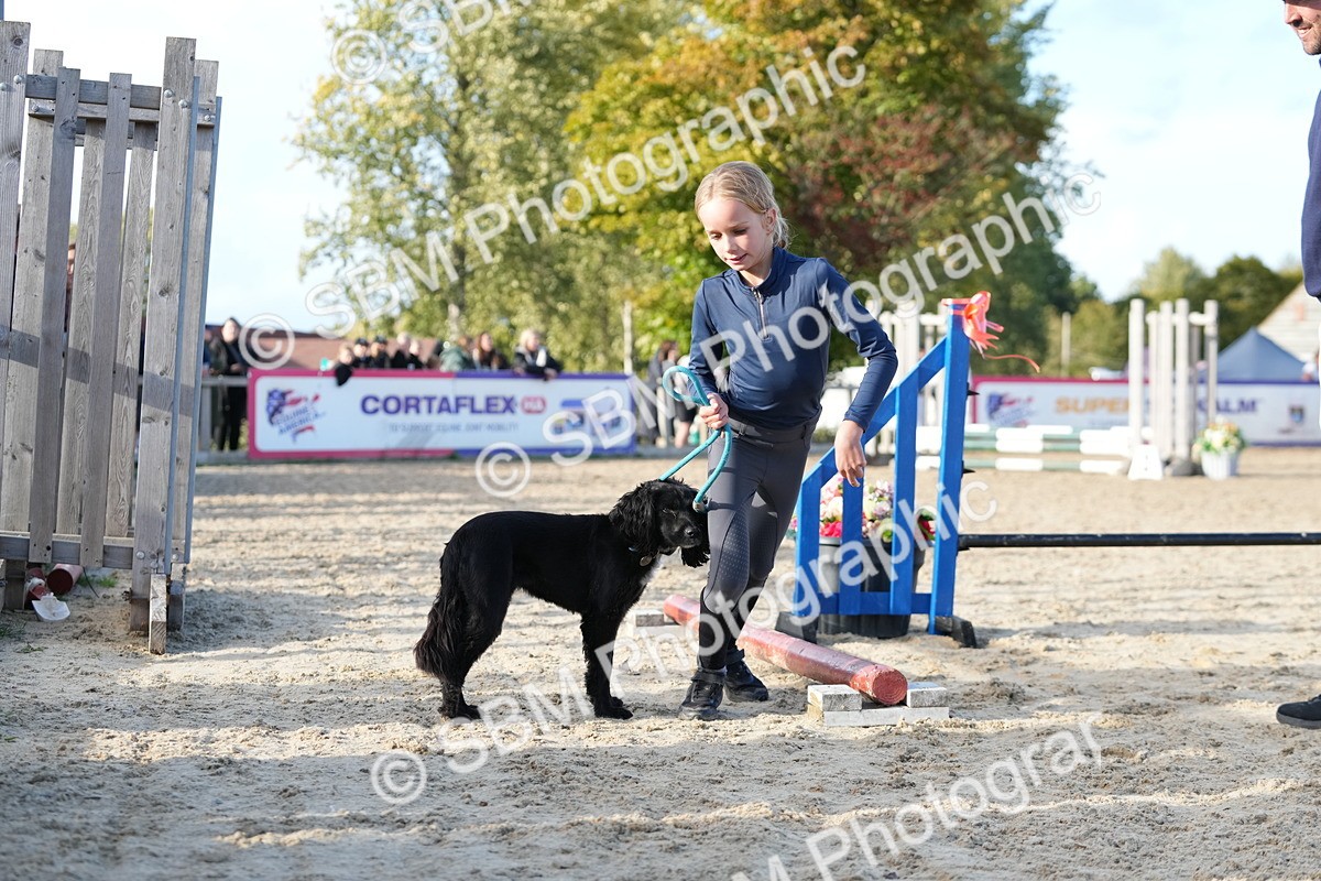 SBM_29116 - J43 - Horse & Hound Open 50cm