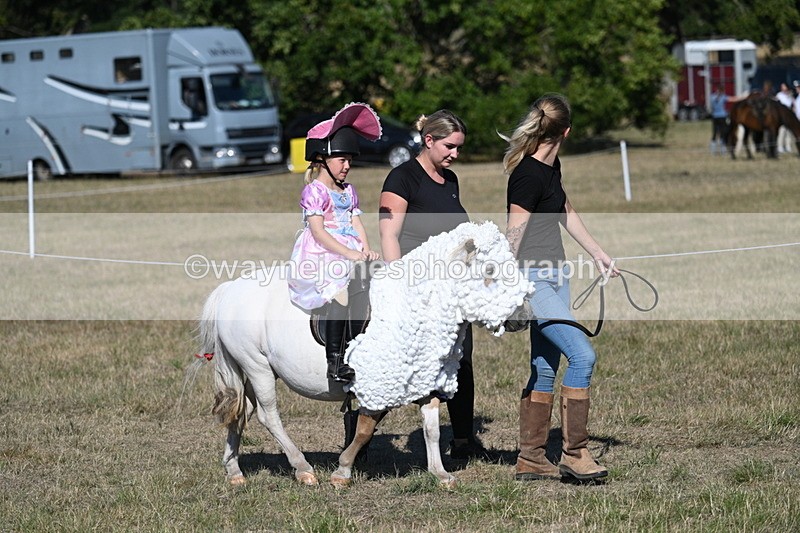 WJ7_2830 - Class 45 Fancy Dress (My Fav)