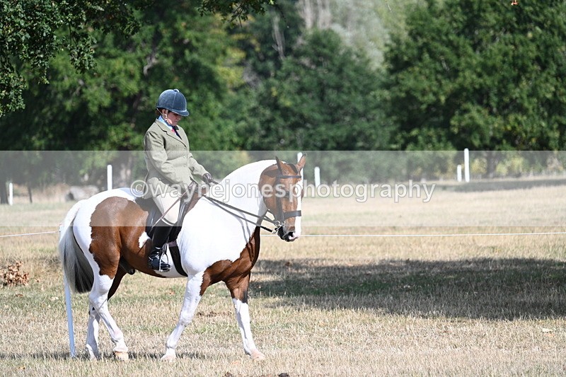 WJ7_2674 - Class 8 Ridden Tack & Turnout