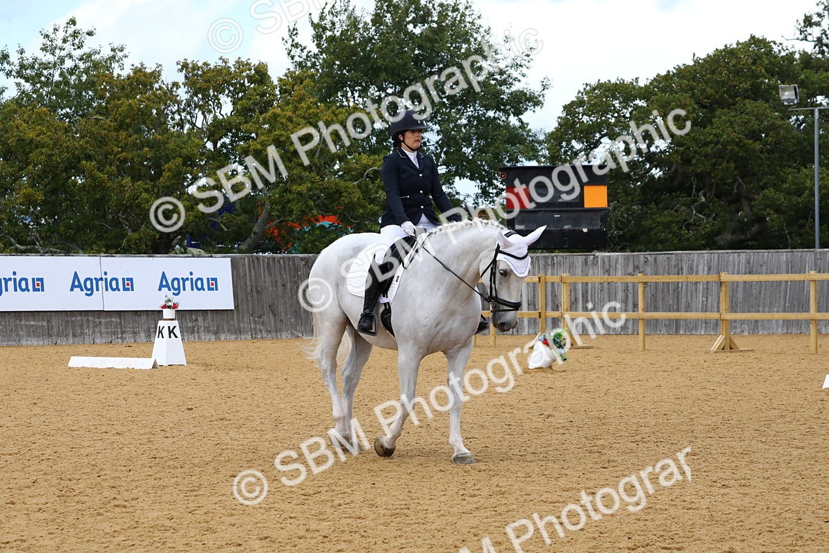 SBM_20853 - D5 - Small Tour Championshop Intro 2