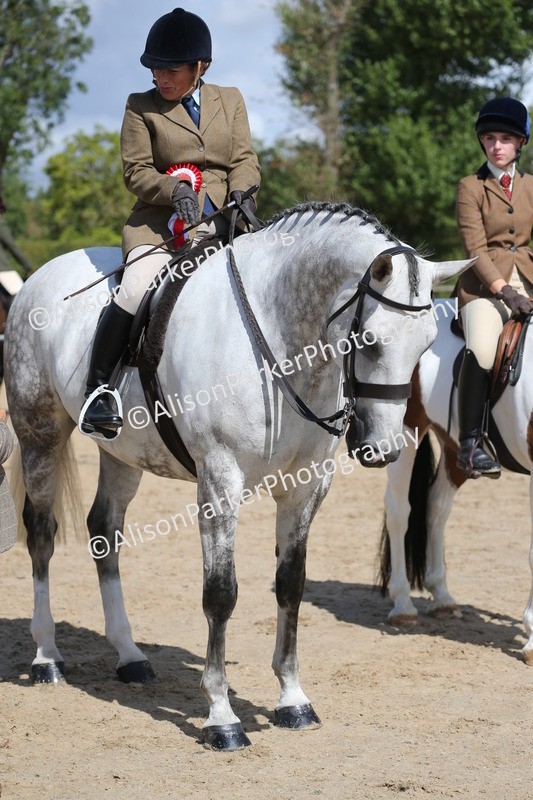 20260831-2800 - Class 16 and 17- Ridden Cob and Hunters