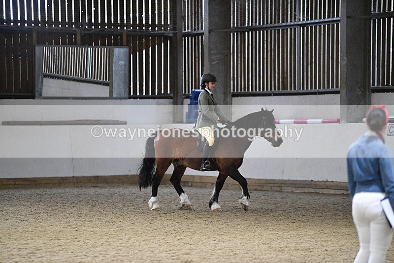 WJ5_8494 - Class 14 Novice Ridden/Rider