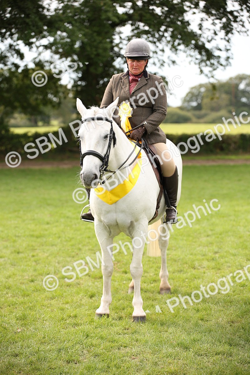 SBM_70446 - S66 - Hunter Ridden