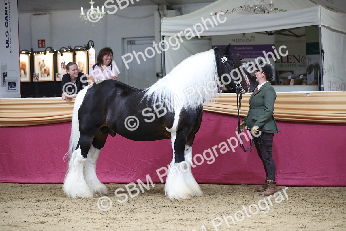 SBM_06388 - Class 9R Regional- IH Pre Vet