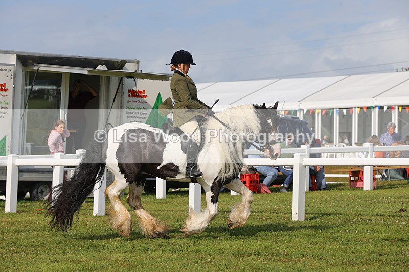 1X9A3261 - Class 28: Ridden Native/Trad Coloured Pony