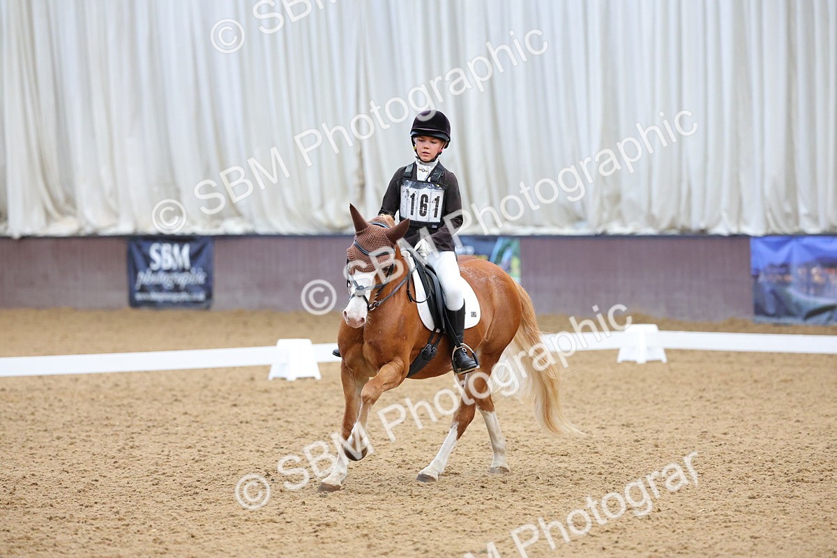 SBM_002964 - Novice