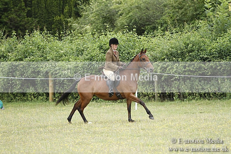 BVR160717-1668 - Ring 3 BVRC Show 16/07/17